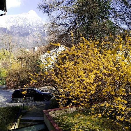 Ferienappartement Thumseestrasse Bad Reichenhall Ngoại thất bức ảnh